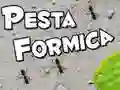 Peli Muurahaisjuhla verkossa Peli Muurahaisjuhla verkossa