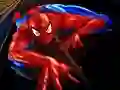 Peli Spider-Man Palapeli verkossa