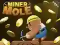 Peli Kaivoksessa Mooli verkossa Peli Kaivoksessa Mooli verkossa