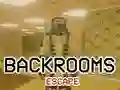 Peli Pako Backroomseista verkossa