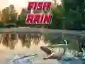 Peli Kalasateet verkossa
