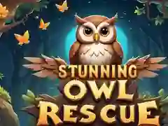 Peli Hämmästyttävä Pöllön Pelastus verkossa Peli Hämmästyttävä Pöllön Pelastus verkossa