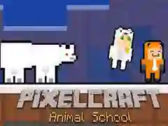 Peli PixelCraft Eläinkoulu verkossa Peli PixelCraft Eläinkoulu verkossa