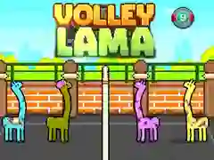 Peli Volley Lama verkossa Peli Volley Lama verkossa