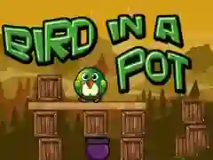 Peli Bir kattilassa verkossa