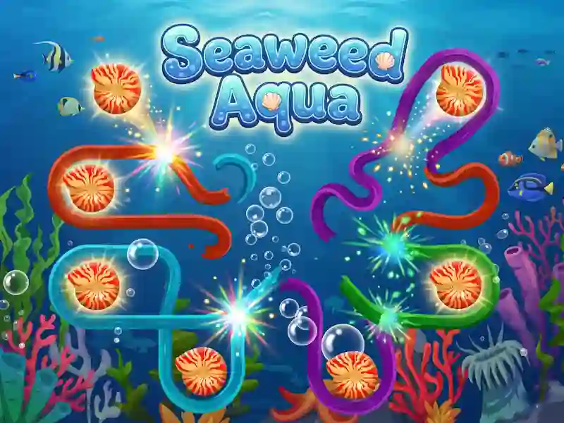 Peli Seaweed Aqua verkossa
