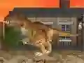Peli LA Rex verkossa