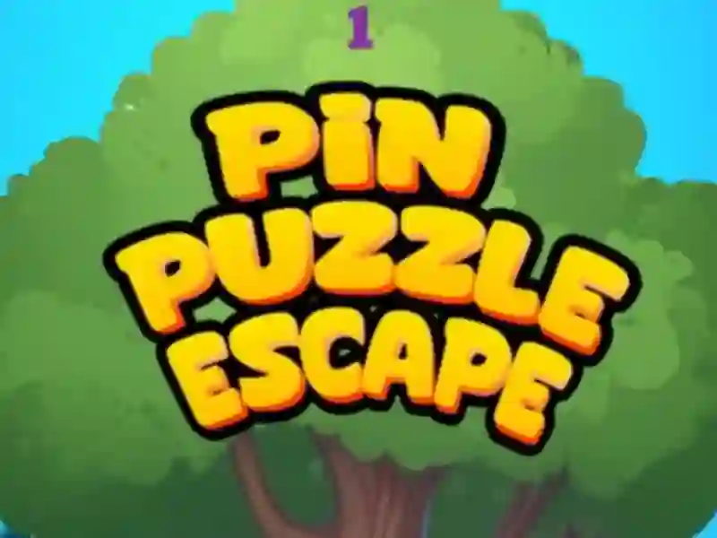 Peli Pin Puzzle Escape verkossa