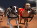 Peli Greyhound-kilpailu verkossa