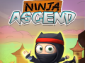 Peli Ninja Nousu verkossa