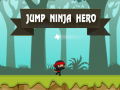 Peli Hyppää Ninja Sankari verkossa