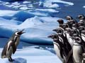Peli Pingviinit Liukuvat verkossa