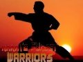 Peli Karate Auringonlasku Soturit verkossa
