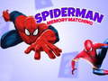 Peli Spiderman Muistipeli verkossa