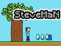 Peli Steveman verkossa
