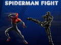 Peli Spiderman Taistelu verkossa