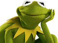 Peli Värityskirja Kermit Sammakolle verkossa
