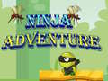 Peli Ninja-seikkailu verkossa
