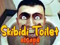 Peli Skibidi WC-pako verkossa