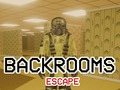 Peli Pako Backroomseista verkossa