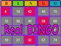 Peli Aito BINGO verkossa
