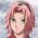Sakura Sakura verkossa