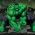 Hulk Hulk verkossa