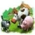 Miracle Farm  verkossa