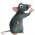 Ratatouille  verkossa